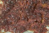 Ruby Red Vanadinite Crystal Plate - Morocco #64829-4